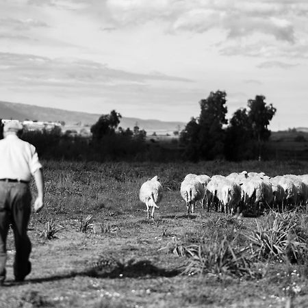 Binzas Betzas Agriturismo Sedilo Εξωτερικό φωτογραφία