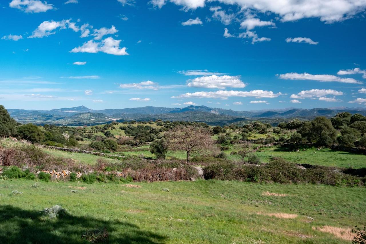 Binzas Betzas Agriturismo Sedilo Εξωτερικό φωτογραφία