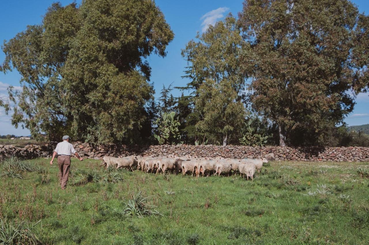 Binzas Betzas Agriturismo Sedilo Εξωτερικό φωτογραφία