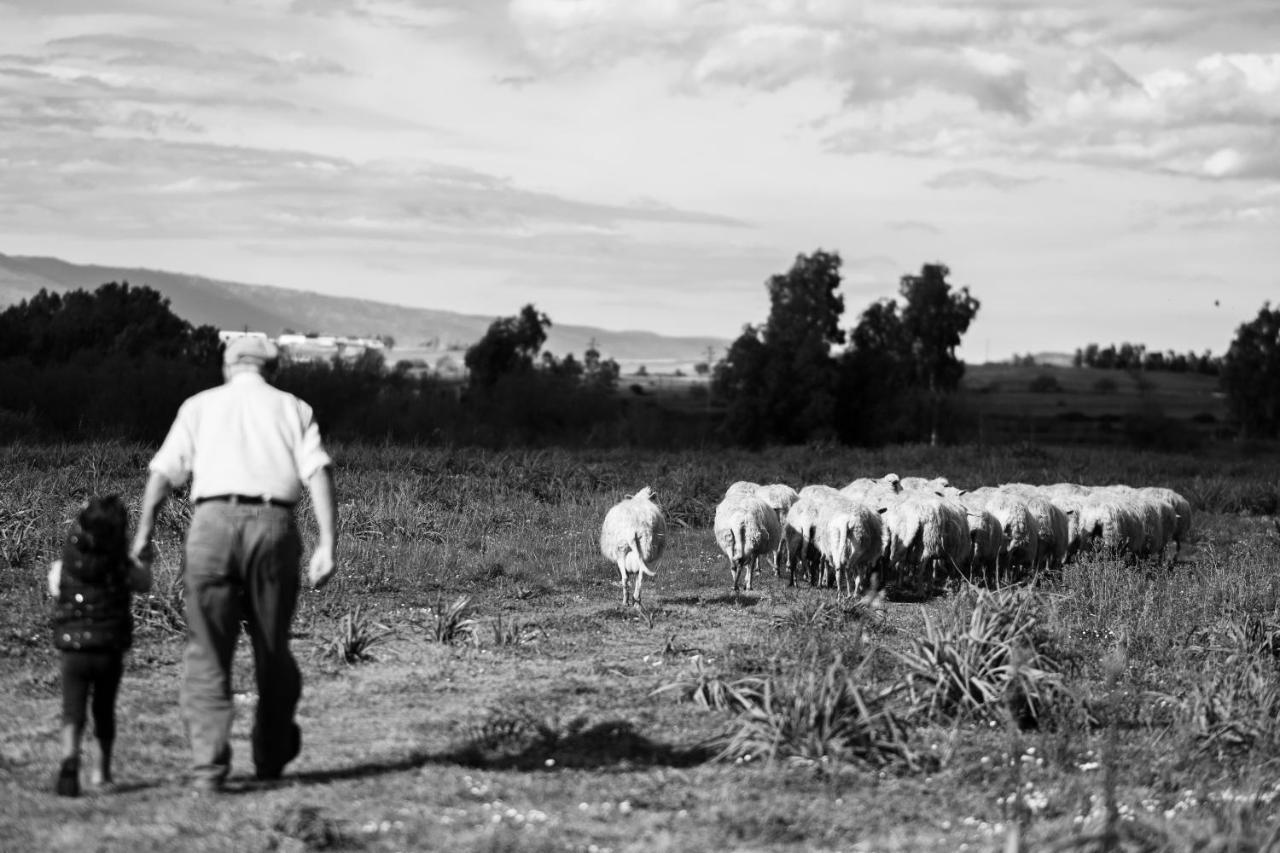 Binzas Betzas Agriturismo Sedilo Εξωτερικό φωτογραφία