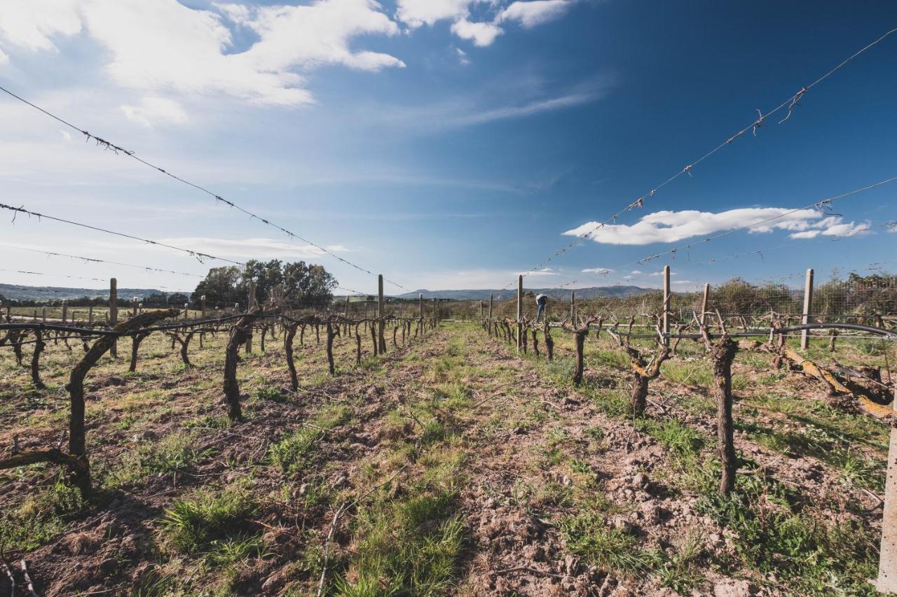 Binzas Betzas Agriturismo Sedilo Εξωτερικό φωτογραφία
